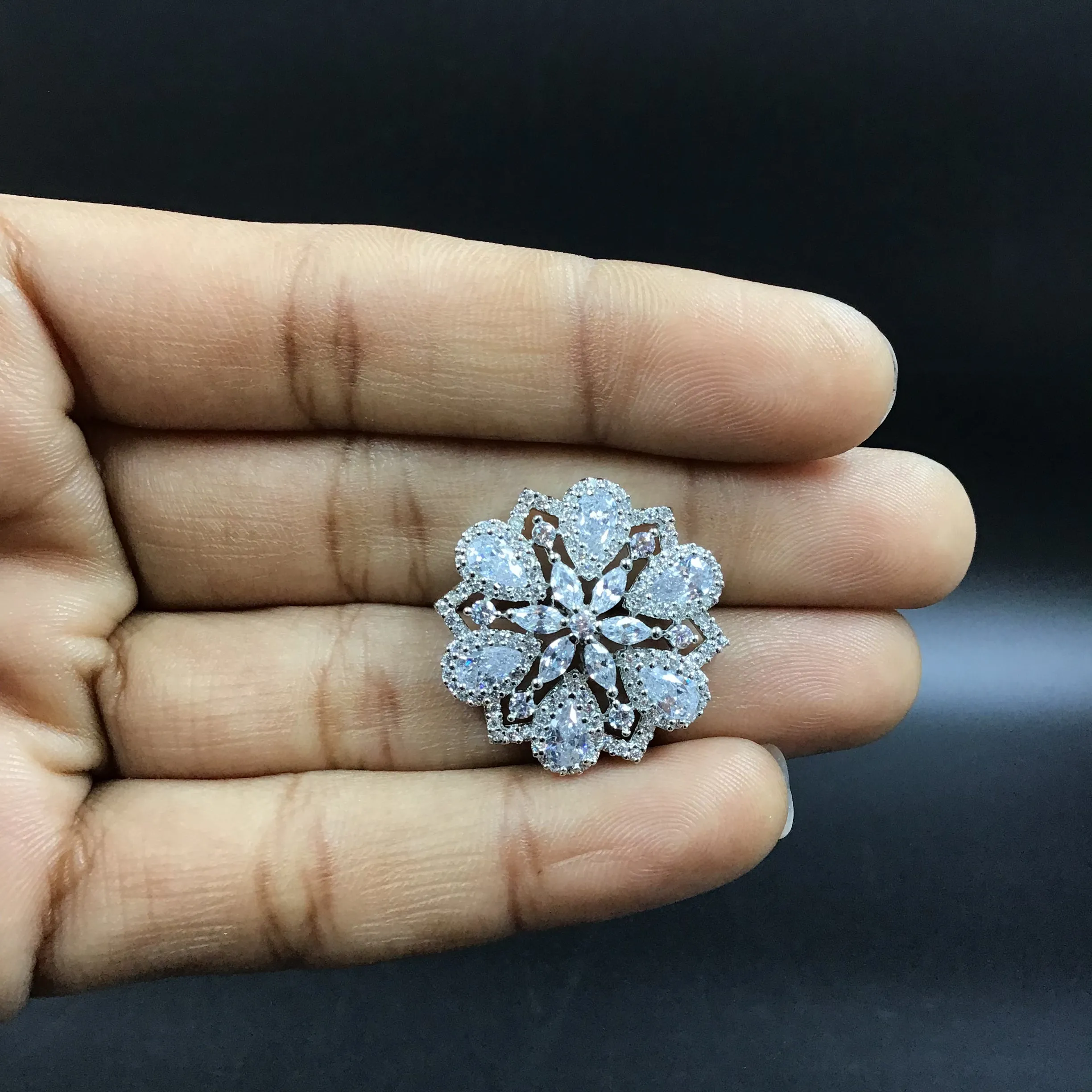 Silver Polish Zircon/AD Earring 6729-69