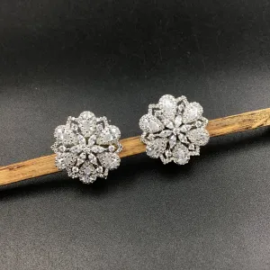 Silver Polish Zircon/AD Earring 6729-69